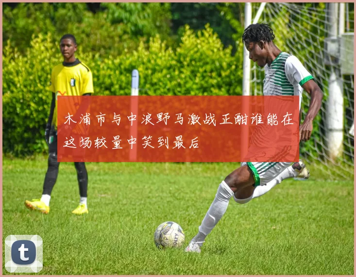 木浦市与中浪野马激战正酣谁能在这场较量中笑到最后
