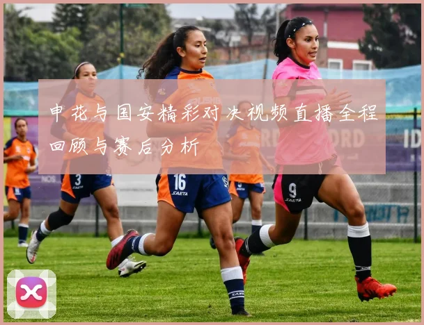 申花与国安精彩对决视频直播全程回顾与赛后分析